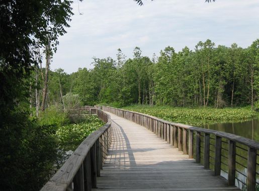 File:Towpath Trail bridge crossing Beaver Marsh.jpg - Wikimedia Commons
