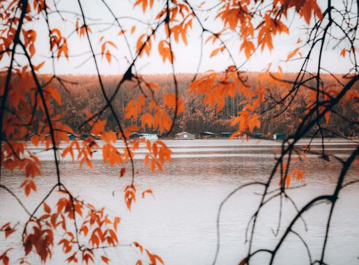 Free picture: branches, autumn season, lakeside, resort area, boathouse,  leaf, autumn, maple, tree, nature