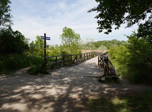 File:Nationalpark Donau-Auen Lobau Josefsteg Mai 2016 01.jpg - Wikimedia  Commons
