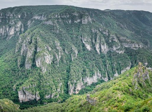 Fichier:View of Gorges du Tarn from Point Sublime 19.jpg — Wikipédia