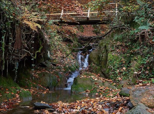 File:Helletal Winterberg (241837413).jpeg - Wikimedia Commons