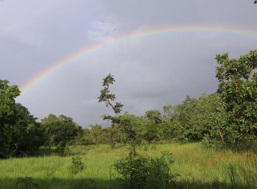 File:Comoe savannah.jpg - 维基百科，自由的百科全书