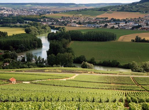 File:Champagne Vineyards.jpg - Wikimedia Commons