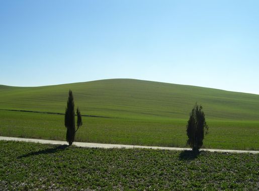File:Val d'orcia -pienza.JPG - Wikipedia