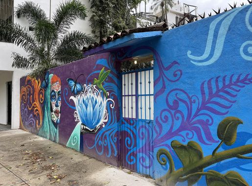 File:Puerto Vallarta, Mexico (February 2024) - 272.jpg - Wikimedia Commons