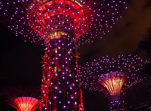File:Evening light show in Supertree Grove of Gardens by the Bay in  Singapore.jpg - Wikimedia Commons