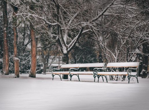 Images Gratuites : arbre, neige, du froid, hiver, la glace, Météo, neigeux,  Monochrome, saison, banc de parc, L'Autriche, des arbres, Vienne, blizzard,  Bancs, gel, tempête hivernale, Ancien akh 3888x2916 - - 1279784 -