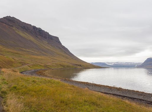 File:Arnarfjörður, Vestfirðir, Islandia, 2014-08-15, DD 029.JPG - Wikimedia  Commons