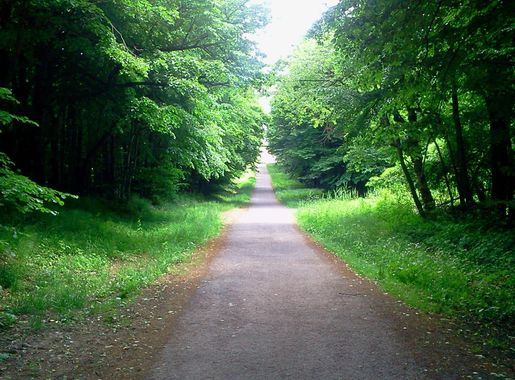 File:Pilisszentkereszt, Dobogókő, 2099 Hungary - panoramio (3).jpg -  Wikimedia Commons