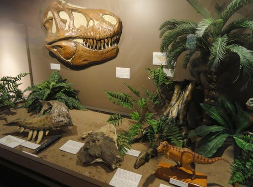 File:Dinosaur exhibit - Springfield Science Museum - Springfield, MA -  DSC03328.JPG - Wikimedia Commons