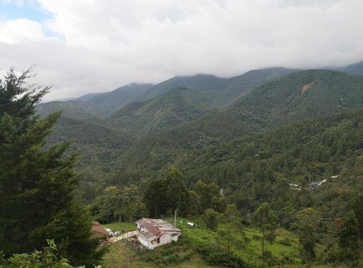 File:Plantación y zona rural aledaña al casco urbano de Angelópolis.jpg -  Wikimedia Commons