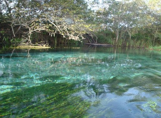 File:Rio Sucuri - Bonito (MS).JPG - Wikimedia Commons