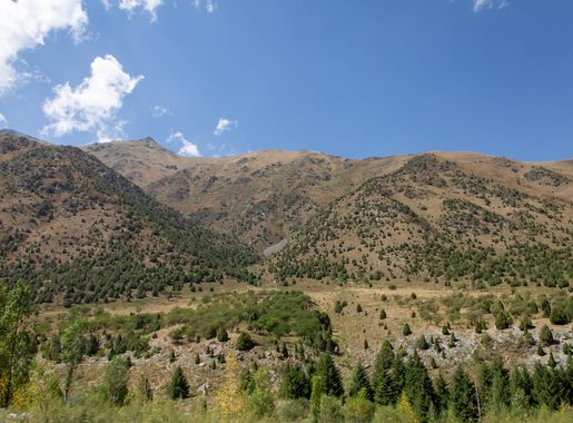 File:Кыргызстан, нацпарк Ала-Арча (2).jpg - Wikimedia Commons