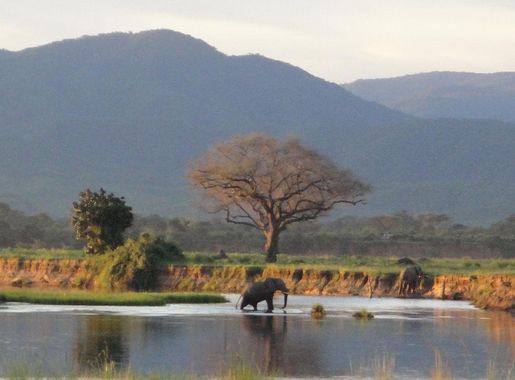 File:Zambezi-at-Mutsango.JPG - Wikimedia Commons