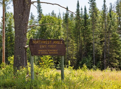 File:Northwest Angle State Forest, Minnesota (37352541951).jpg - Wikimedia  Commons