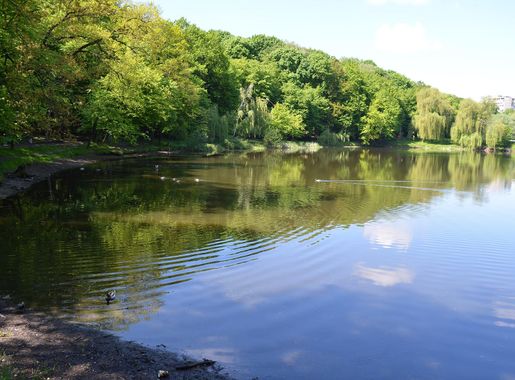 File:Holosiivskyi Park, Kyiv 0001 03.JPG - Wikimedia Commons