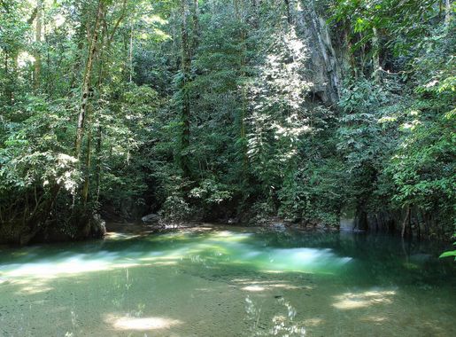 File:Natural spring at Clearwater Cave.jpg - Wikimedia Commons