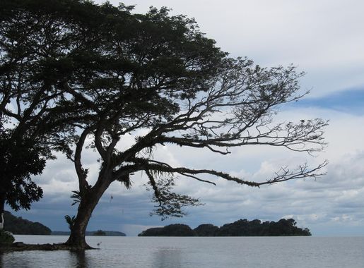 File:Nicaraguasee09.JPG - Wikimedia Commons