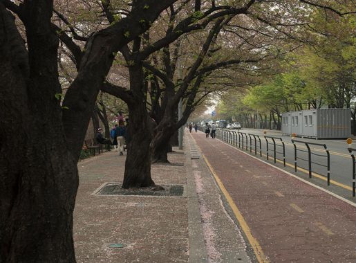 South Korea Sojourns VII: Yeouido Park > Osan Air Base > Article Display