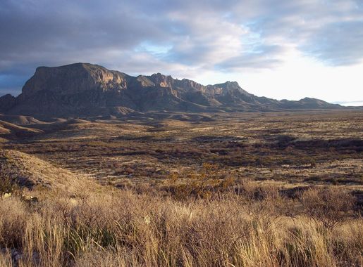 File:Big Bend Chihuahuan Desert.jpg - Wikimedia Commons