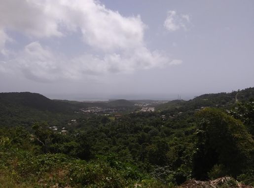 Archivo:View from Los Bohios de Jaime on PR-975 in Río Abajo, Ceiba, Puerto  Rico.jpg - Wikipedia, la enciclopedia libre