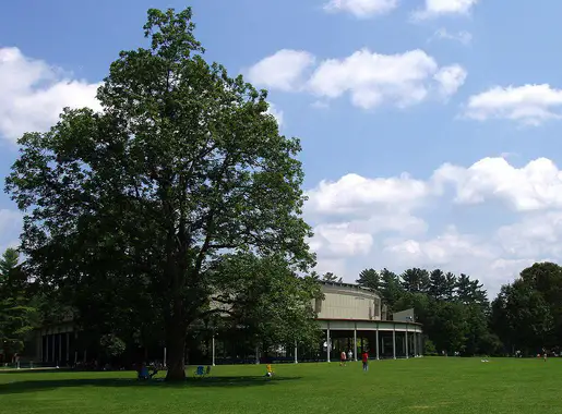 Berkshires photo 3