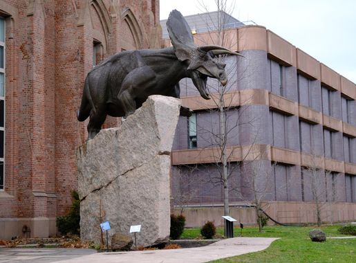 File:Peabody-Torosaurus-0001.jpg - Wikimedia Commons