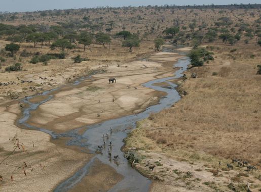 File:Tarangire River Tanzania in July (Dry season).JPG - Wikimedia Commons