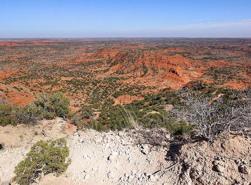 File:Haynes Ridge Overlook Caprock Canyons SP Texas 2023.jpg - Wikimedia  Commons