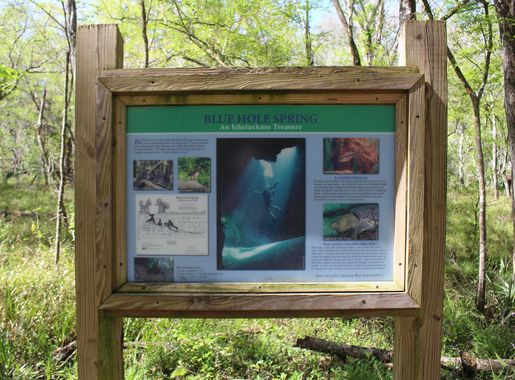 File:Ichetucknee Springs State Park Blue Hole Spring sign.jpg - Wikimedia  Commons