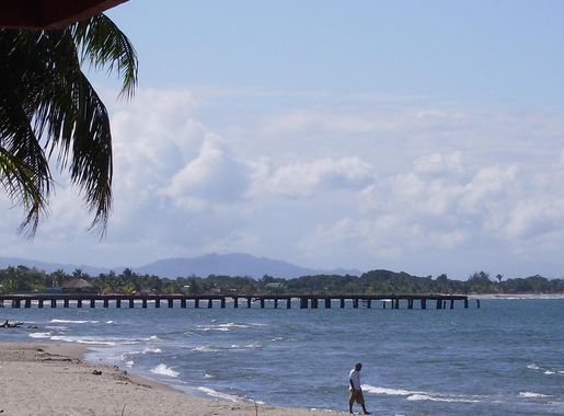 File:Tela muelle1.JPG - Wikimedia Commons