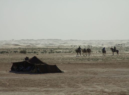 File:Tunisia 10-12 - 079 - Douz and the Festival of the Sahara  (6609298867).jpg - Wikimedia Commons