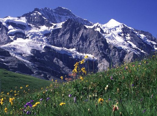 File:Swiss Jungfrau mountains.jpg - Wikimedia Commons