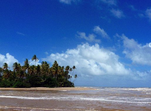 File:Nariva River - The mouth of the river where it enters the Atlantic  Ocean on Trinidad's east coast.jpg - Wikimedia Commons