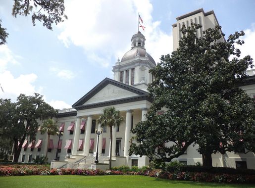 File:Florida's Historic Capitol and Florida State Capitol 1.JPG - Wikimedia  Commons