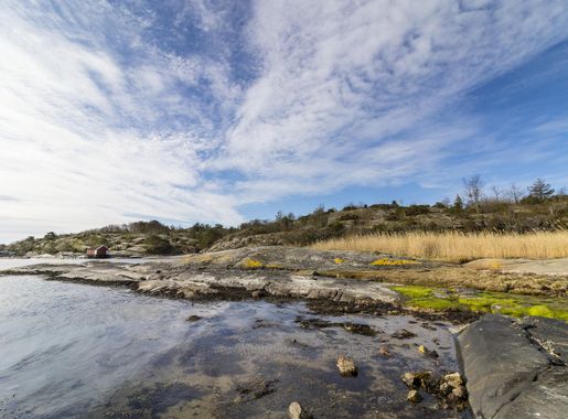 File:Spring on south koster.jpg - Wikimedia Commons