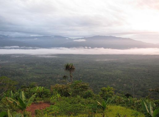 File:Early morning at Alola, Kokoda Track, Papua New Guinea.jpg - Wikimedia  Commons
