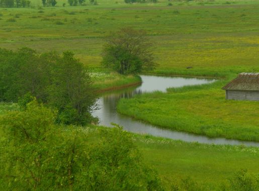 File:Tuudi jõgi (4).jpg - Wikimedia Commons