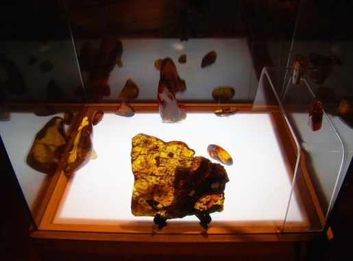 File:El museo del ámbar (18).jpg - Wikimedia Commons