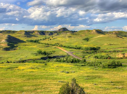 Landscapes of grasslands and hills at Theodore Roosevelt National Park, North  Dakota image - Free stock photo - Public Domain photo - CC0 Images