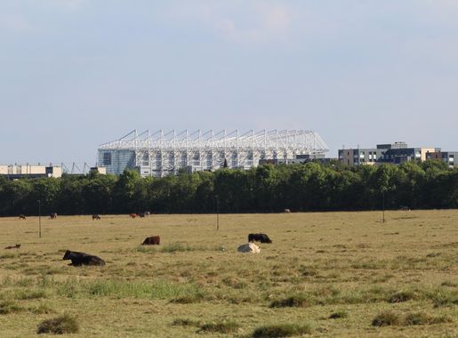 File:St James' Park vu depuis Town Moor Newcastle Tyne 1.jpg - Wikimedia  Commons