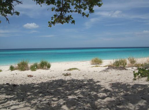 File:Bahia de las Aguilas beach.jpg - Wikimedia Commons
