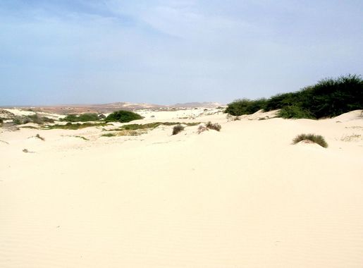 File:Deserto de Viana.jpg - Wikimedia Commons