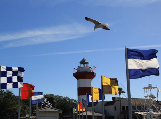 File:Hilton Head SC Lighthouse Dock Flags Seagull.JPG - Wikimedia Commons