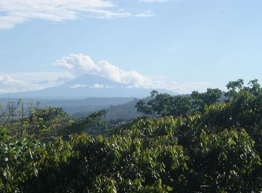 Archivo:Sumaco.JPG - Wikipedia, la enciclopedia libre