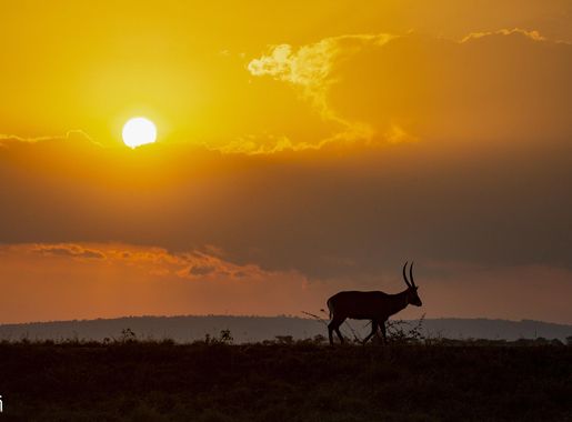 File:The beautiful nature of Akagera National Park.jpg - Wikimedia Commons