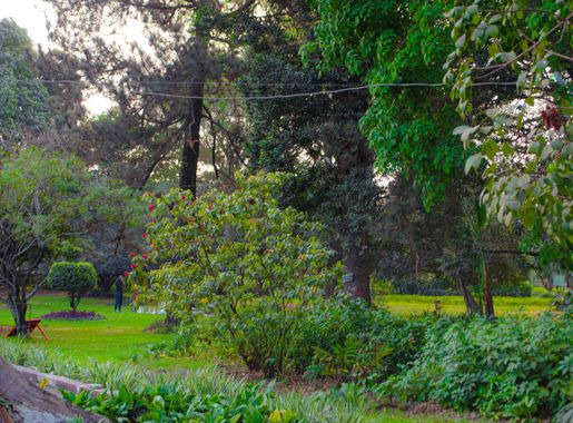 Fichier:BOT 01.jpg — Wikipédia