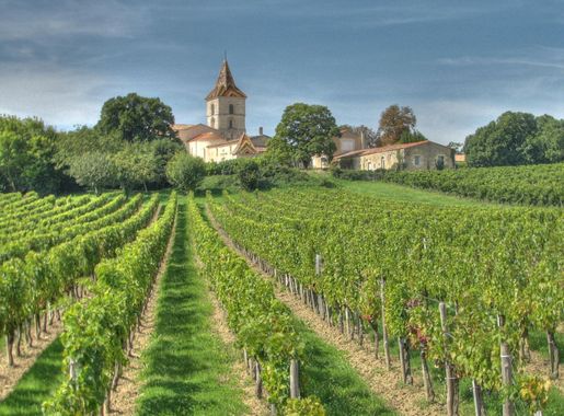 File:Cars, Gironde.jpg - Wikimedia Commons