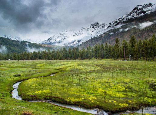 File:Rama meadows in Astore Valley.jpg - Wikimedia Commons