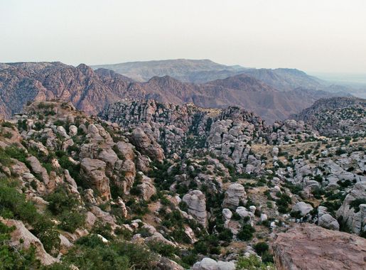 File:Dana Nature Reserve, May 2010.jpg - Wikimedia Commons